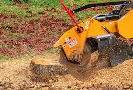Best Commercial Tree Services  in Eddyville, KY