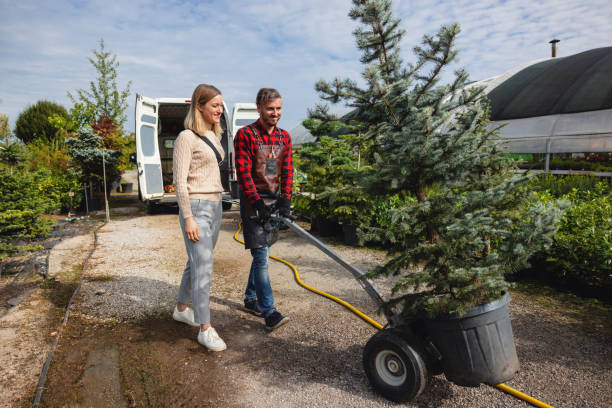 Best Arborist Consultation Services  in Eddyville, KY